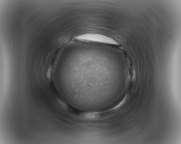 X0000086770094200704271759