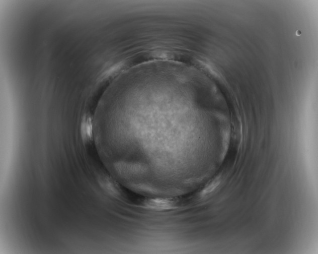 X0000086770095200704271759
