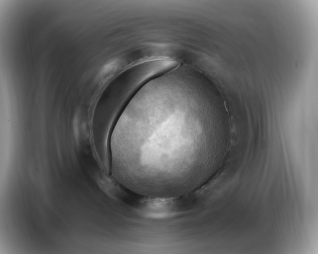 X0000086770096200704271759