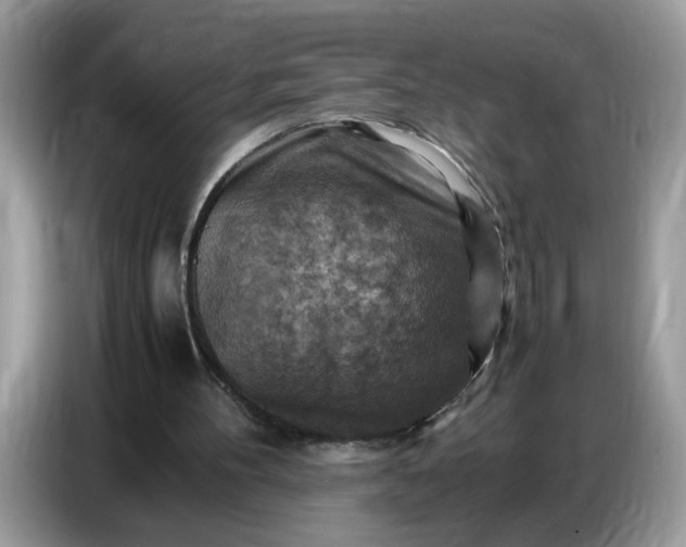 X0000086770100200704271758