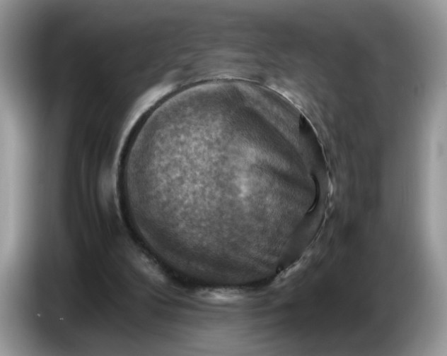 X0000086770104200704271758