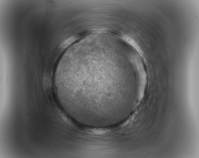 X0000086770105200704271758
