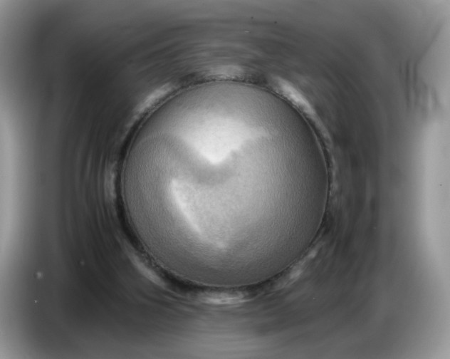 X0000086770106200704271758