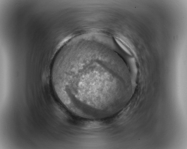 X0000086770107200704271758