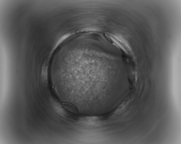 X0000086770108200704271758