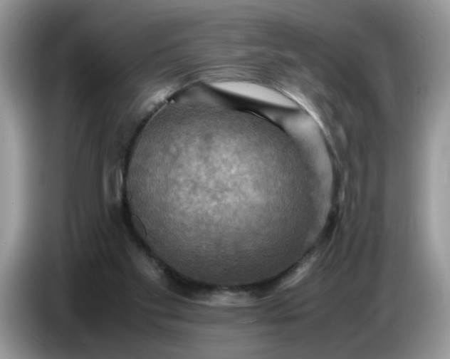 X0000086770109200704271758