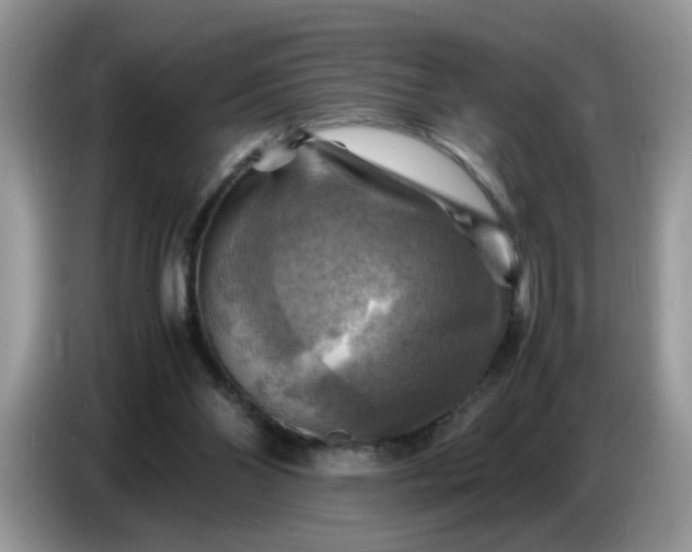 X0000086770110200704271758