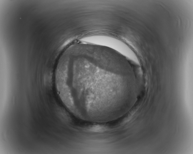 X0000086770111200704271758