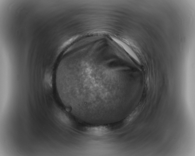 X0000086770112200704271758