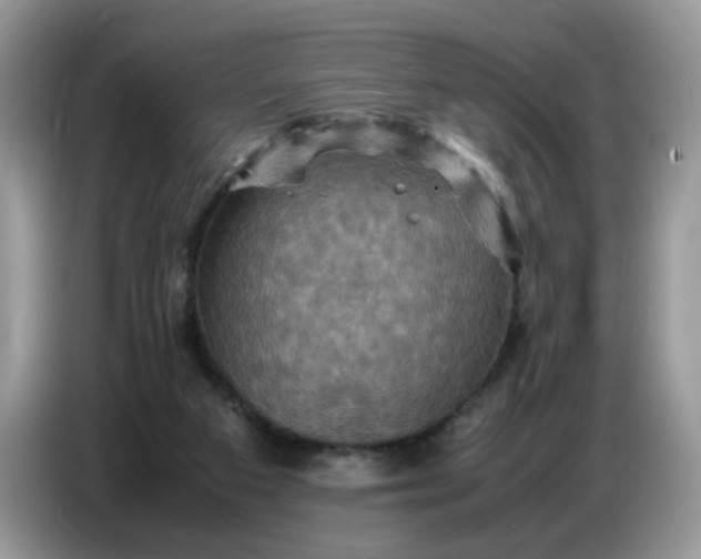 X0000086770113200704271758