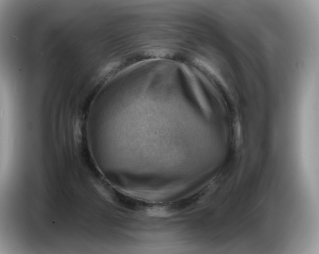 X0000086770114200704271758