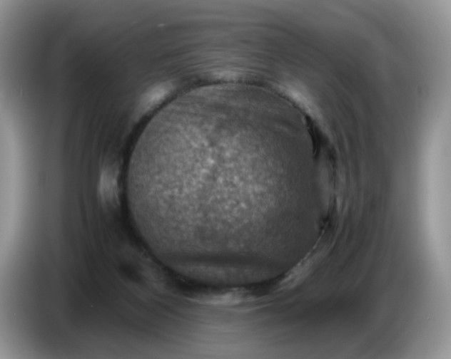 X0000086770116200704271758