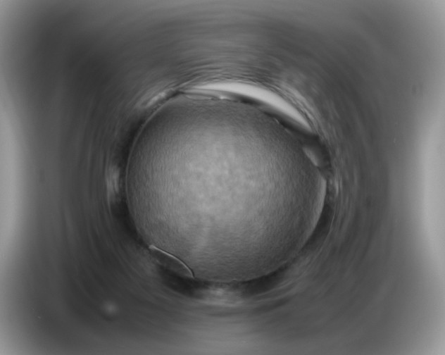 X0000086770117200704271758