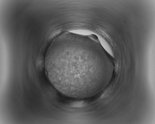 X0000086770119200704271758
