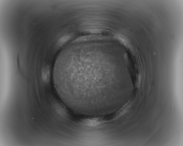 X0000086770120200704271758