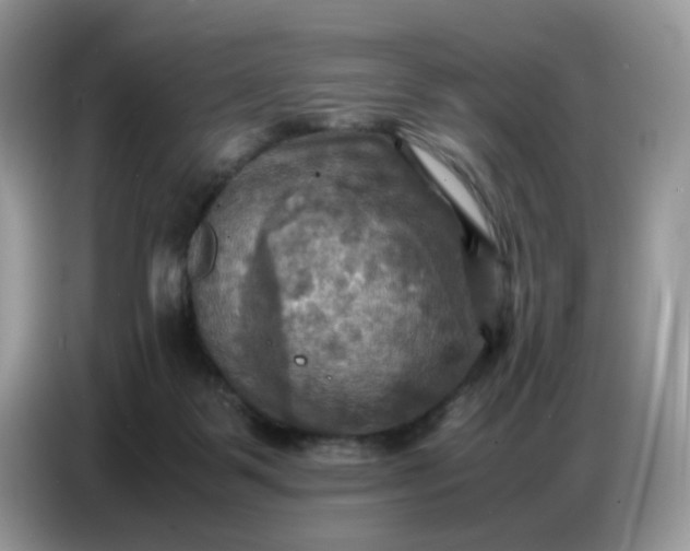 X0000086770123200704271758