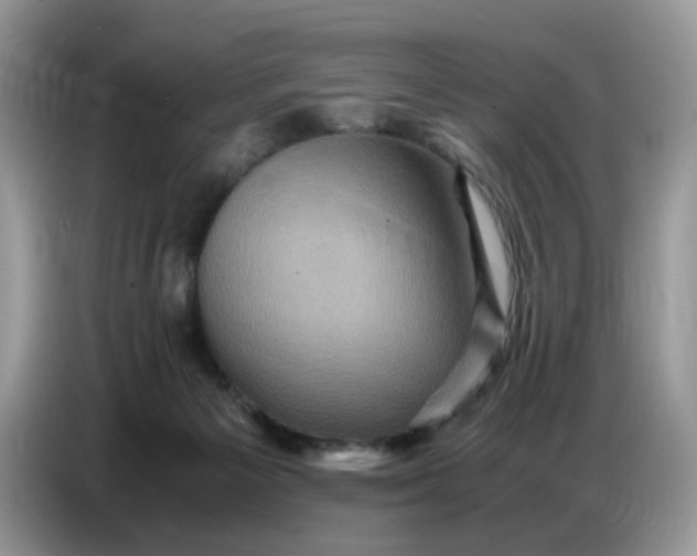 X0000086770125200704271758