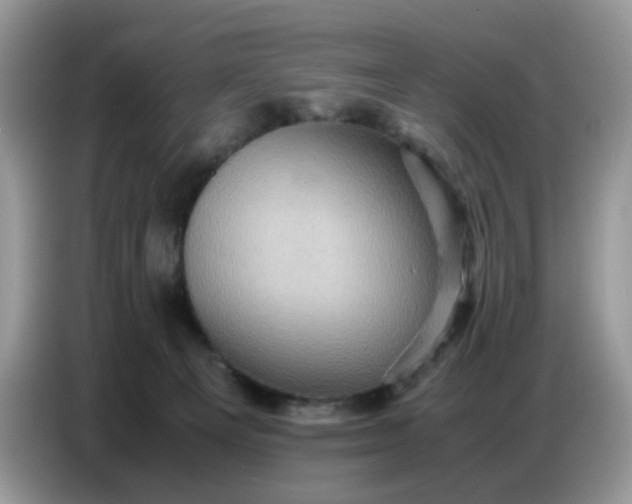 X0000086770129200704271758