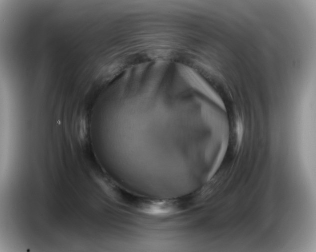 X0000086770130200704271758