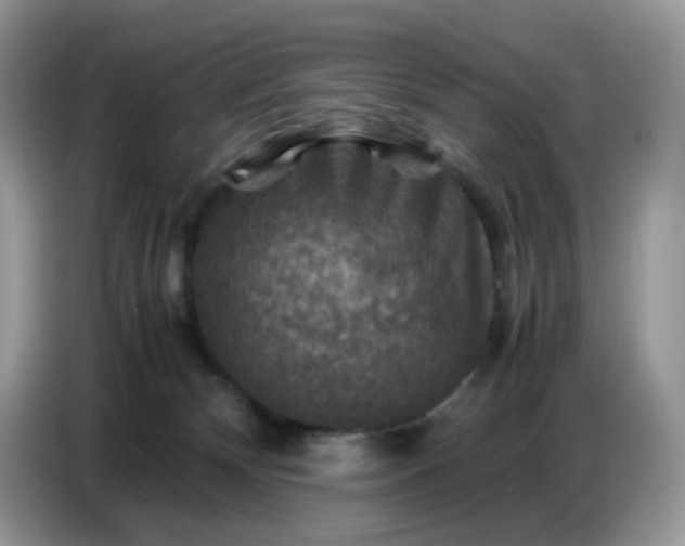 X0000086770132200704271757