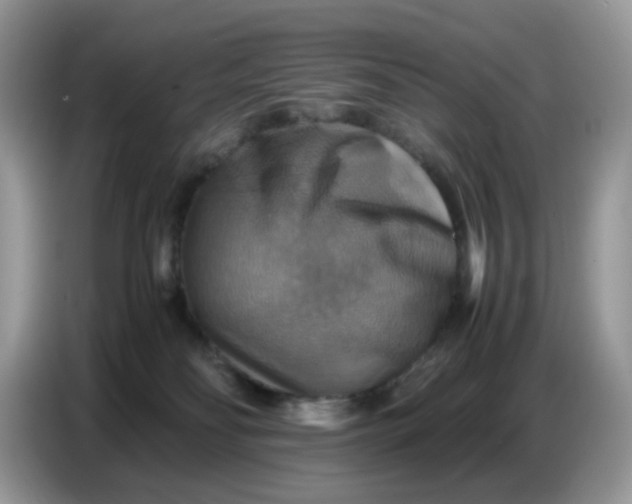 X0000086770134200704271757