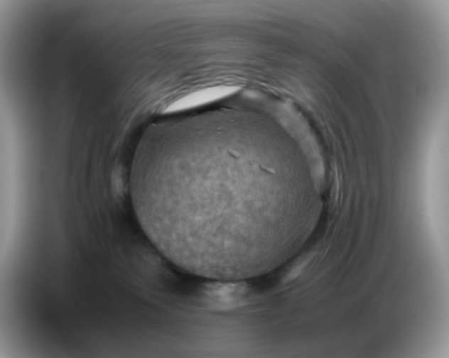 X0000086770135200704271757