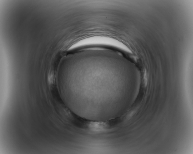 X0000086770137200704271757