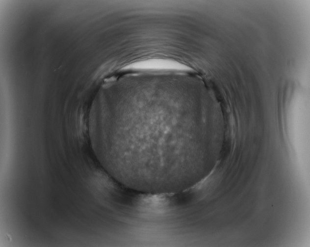 X0000086770140200704271757