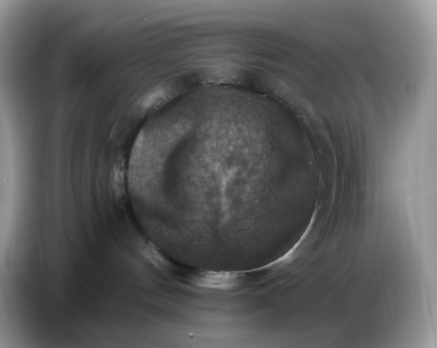 X0000086770144200704271757