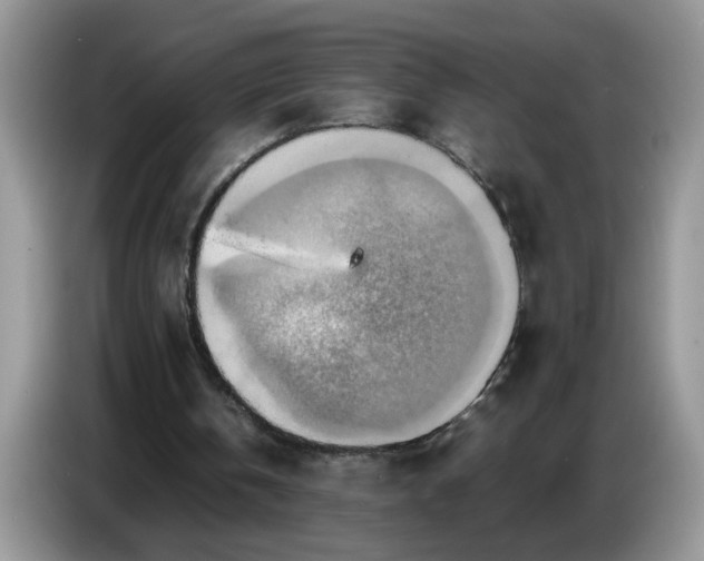 X0000086770146200704271757