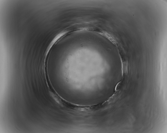 X0000086770147200704271757