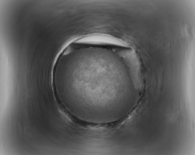 X0000086770148200704271757