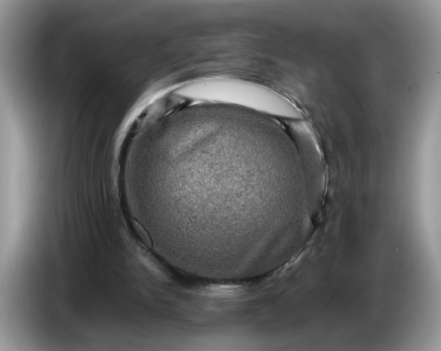 X0000086770150200704271757