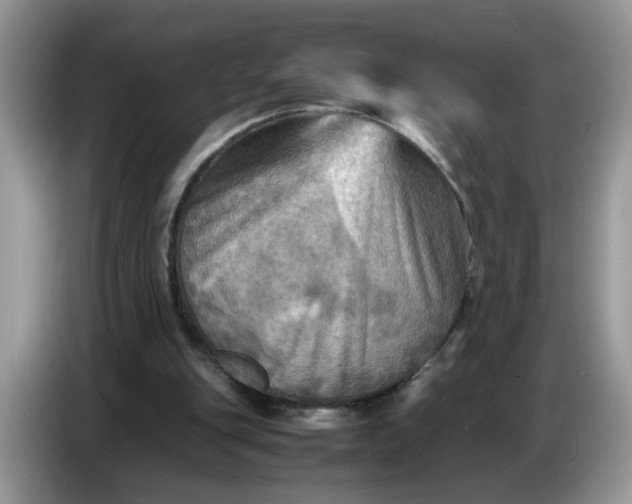 X0000086770151200704271757