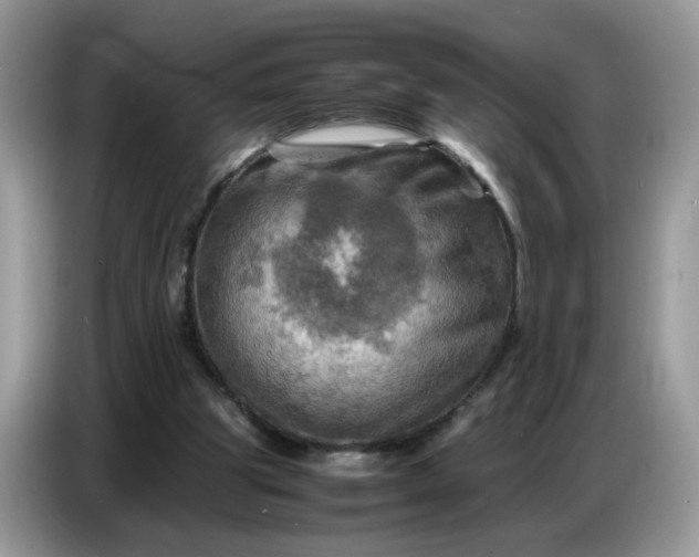 X0000086770153200704271757