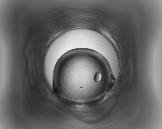 X0000086770154200704271757