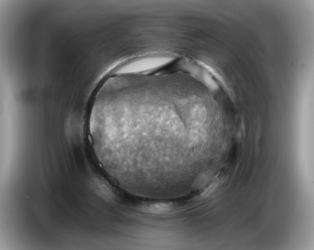X0000086770156200704271757