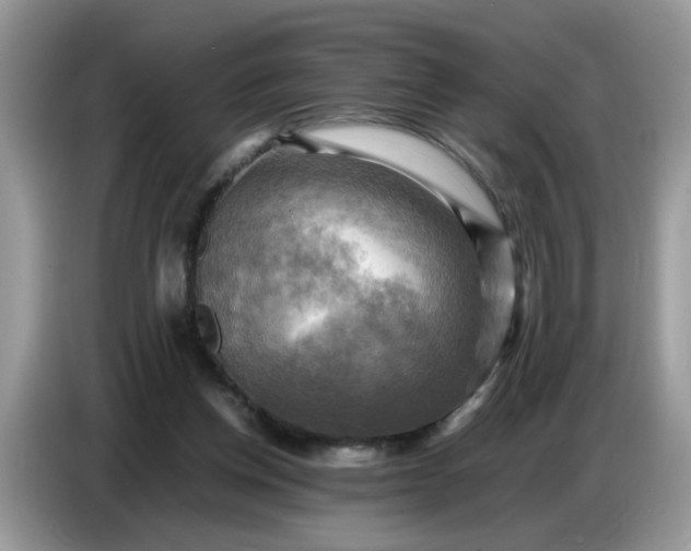 X0000086770158200704271757