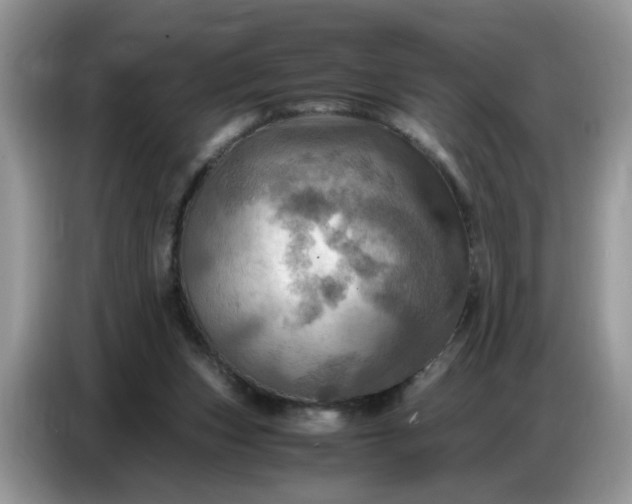 X0000086770159200704271757
