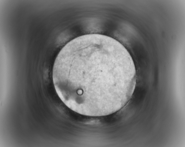 X0000086770162200704271757