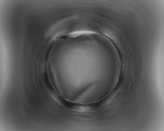 X0000086770165200704271757