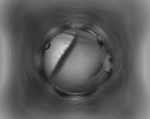 X0000086770169200704271757