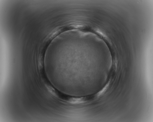 X0000086770170200704271757