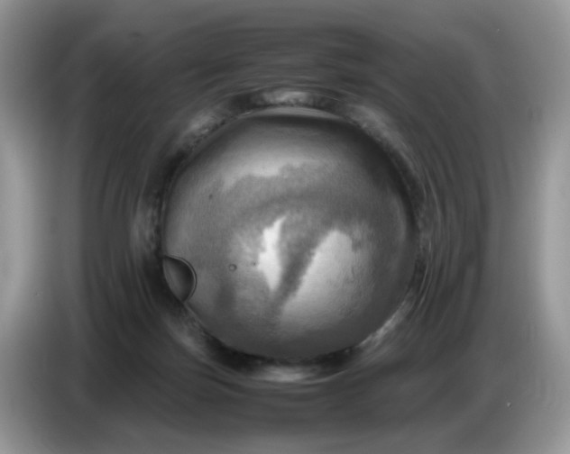 X0000086770171200704271757