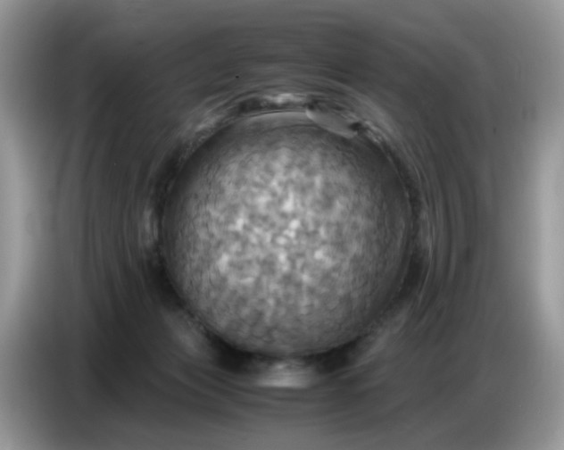 X0000086770173200704271757