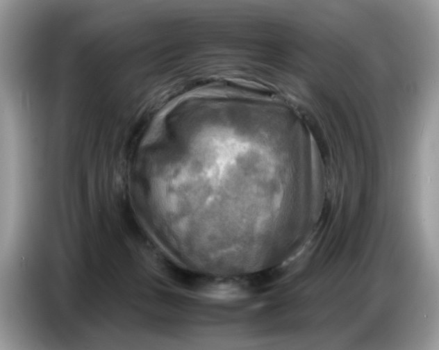 X0000086770175200704271757