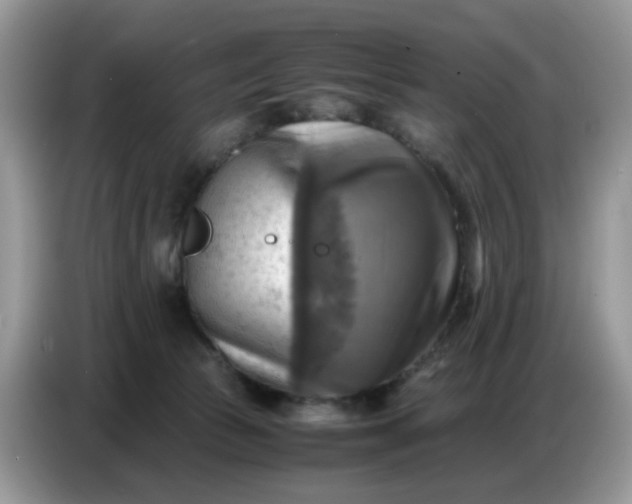 X0000086770177200704271757