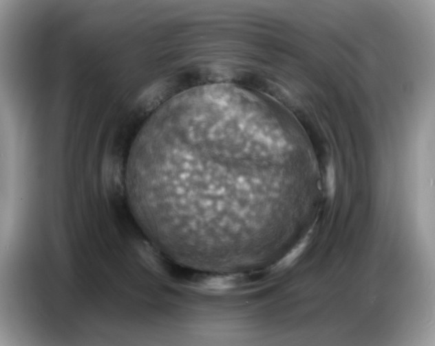 X0000086770178200704271757