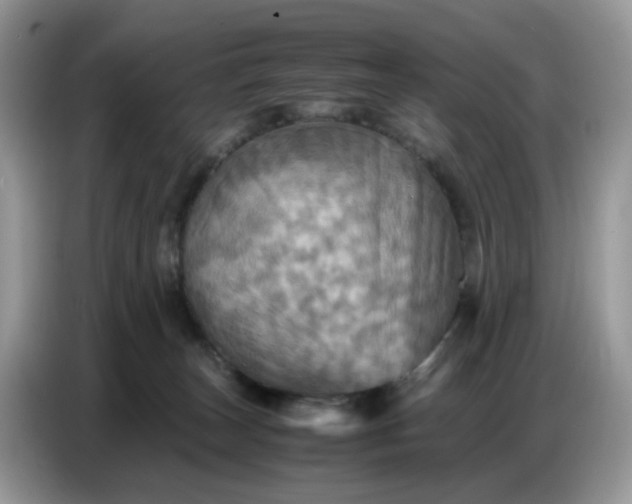 X0000086770179200704271757