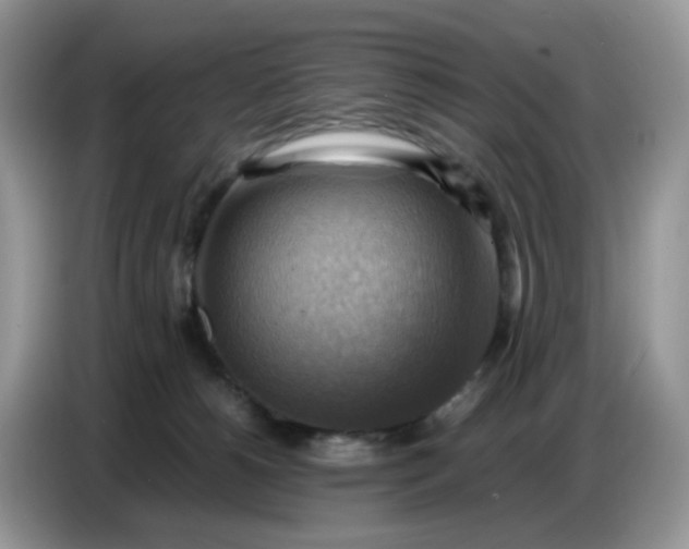X0000086770180200704271757